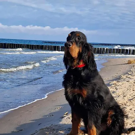 Vakantiehuis Catan Rewal