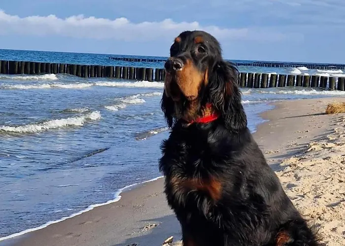 Casa de Férias Catan Rewal